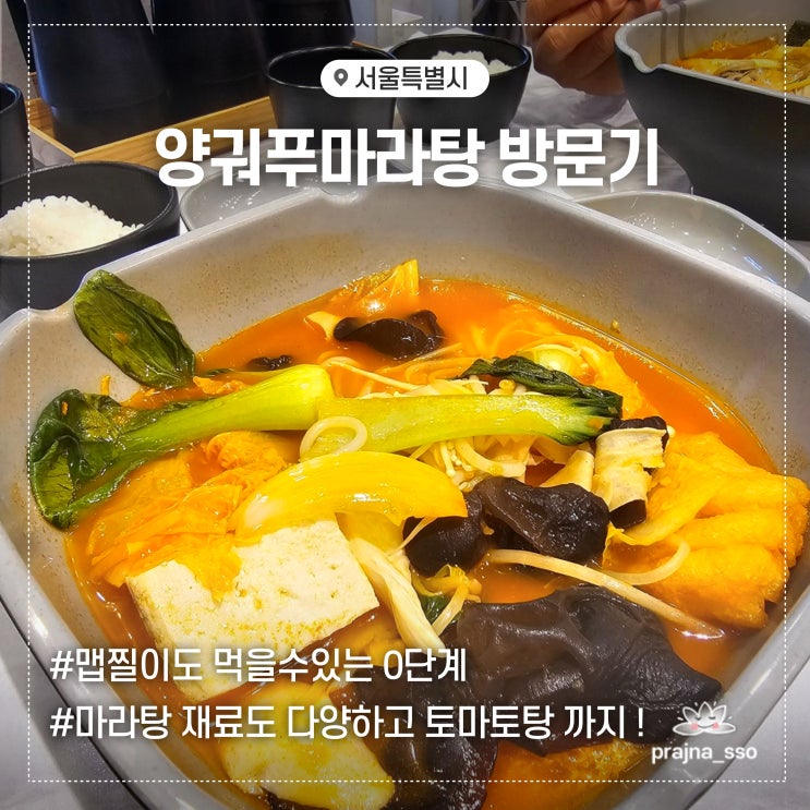  양궈푸마라탕 명동점 방문후기 맵찔이 메뉴 0단계 토마토탕 추천