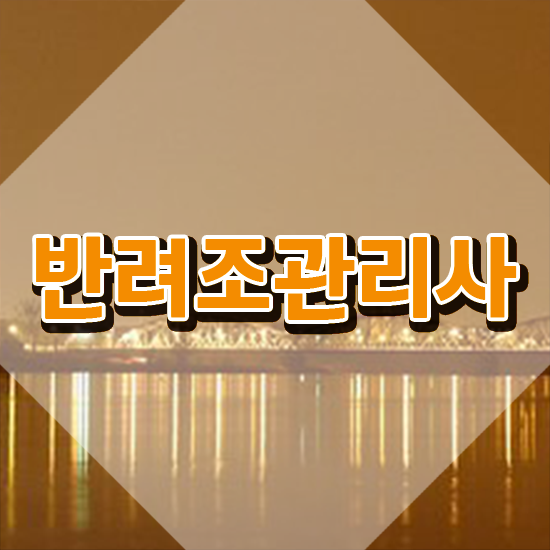  대전앵무새분양 , 반려조관리사 자격증 시험준비 알아볼게요