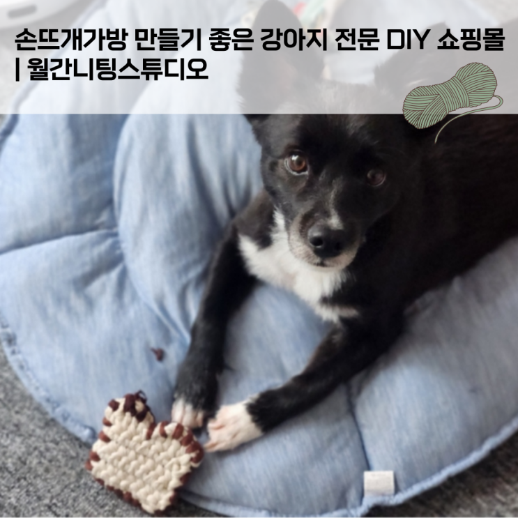  손뜨개가방 만들기 좋은 강아지 전문 DIY 쇼핑몰 | 월간니팅스튜디오