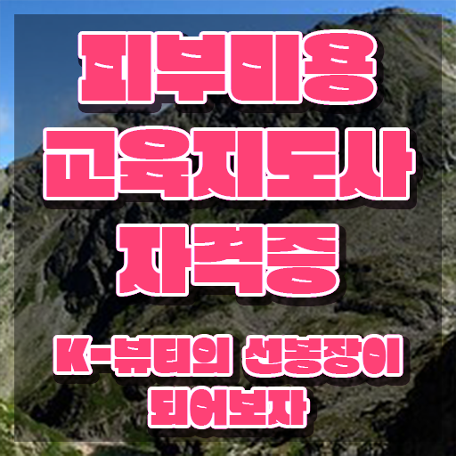  피부관리사 자격증 필기 , 피부미용교육지도사 자격증 온라인 교육으로 합격정보 및 채용 정보