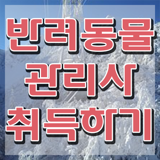  반려동물종합관리사 , 반려동물관리사 자격증 시험준비 정보 필요하시죠