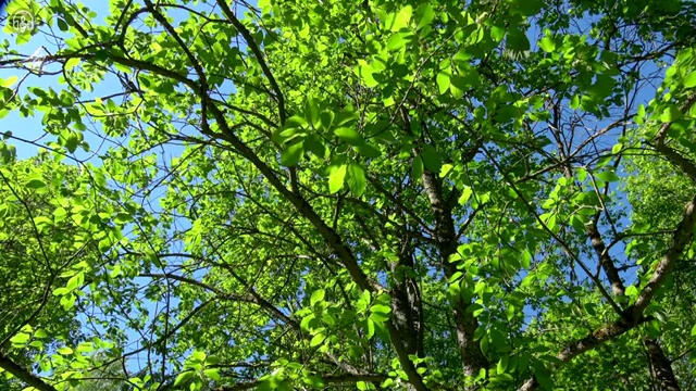  사주팔자만세력 동영상으로 명리심리상담사 합격한 팁 알아보기
