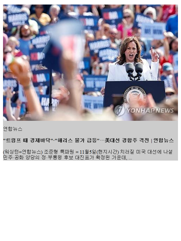 "<b>트럼프</b> 때 경제바닥"·"<b>해리스</b> 물가 급등"…美대선 <b>경합주</b> 격전
