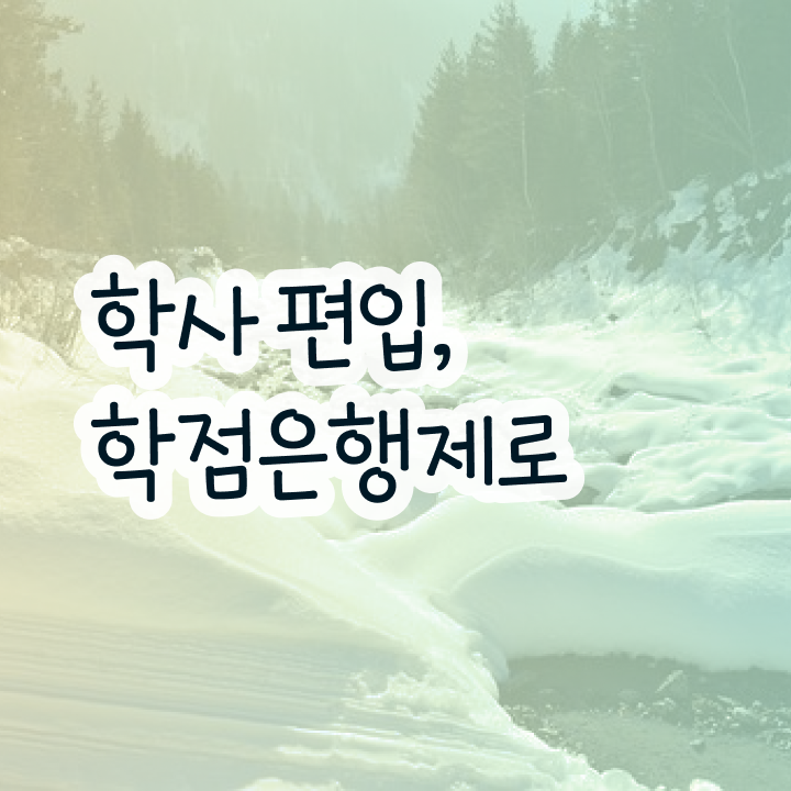  학은제 편입 , 학점은행제 플래너 덕분에 꿈꾸던 편입에 성공했어요.