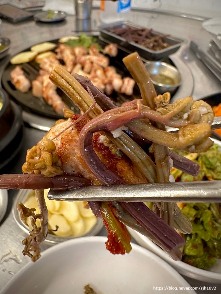  부천에서 제주를 원종동 흑돼지 오겹살 맛집 원종역 고기집 제주똥돼지마을