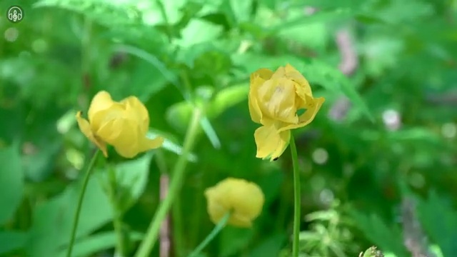  수산물품질관리원 자격증 , 교육기관