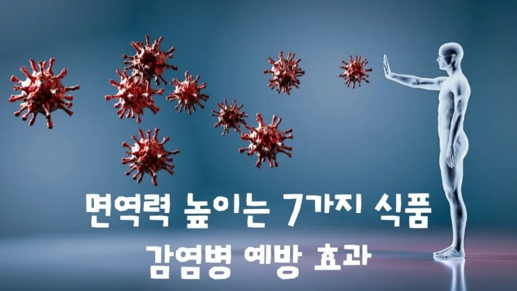  면역력 높이는 7가지 식품 감염병 예방 효과
