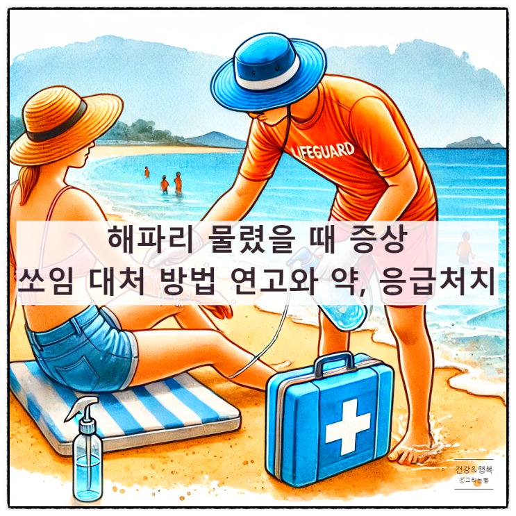  해파리 물렸을 때 증상 쏘임 대처 방법 연고와 약, 응급처치