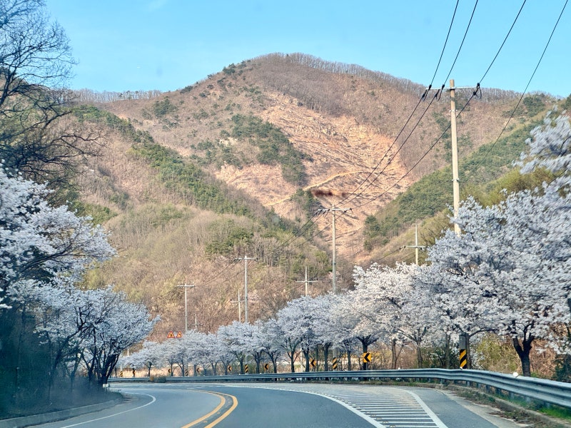 사진 6