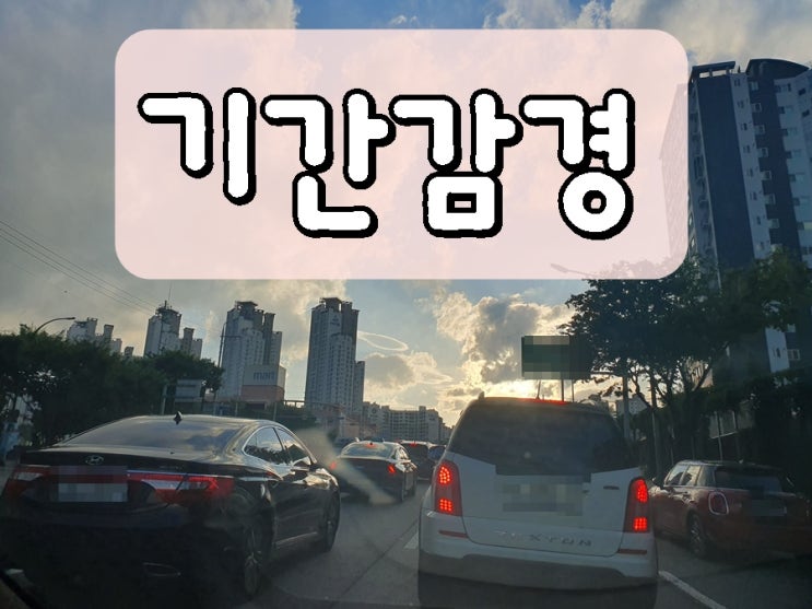  속초 삼척 음주운전 행정사 면허 구제 취소 처분 감경