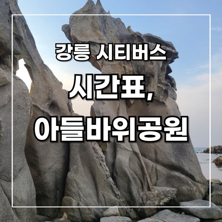  [2박 3일 강릉 여행] 9. 강릉 시티 버스1 시간표 & 노선도, 안목 해변에서 아들 바위 공원 가는 법(feat. 아들 바위 공원 포토존)