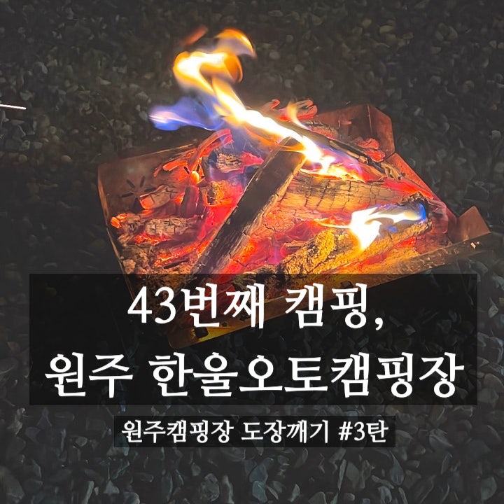 사진 6