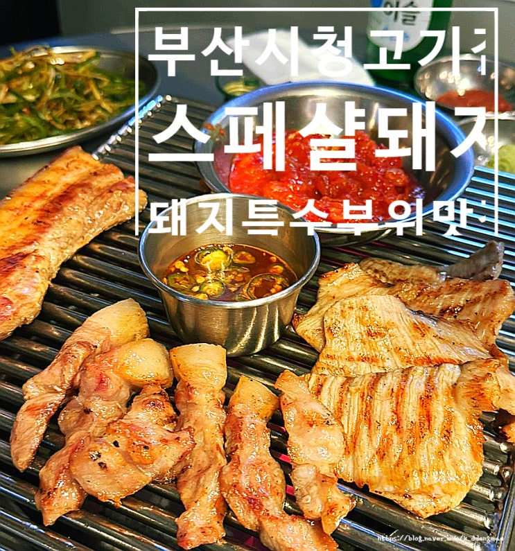  부산 시청 고기집 '스페샬돼지' 구워주는 돼지특수부위 맛집