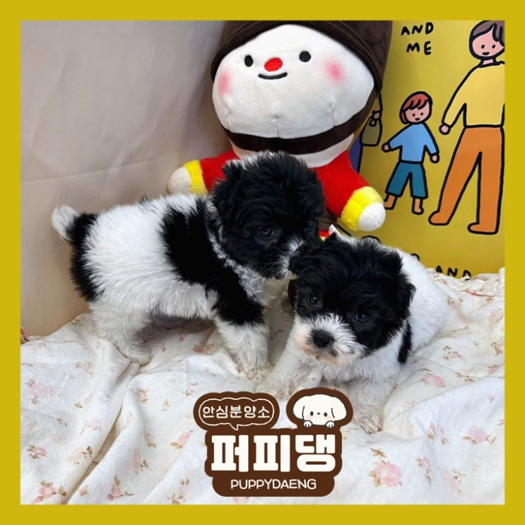  금산애견분양 나를 설레게 해요