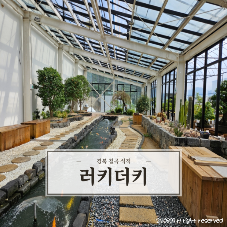 카페에 아쿠아리움 식물원이 있다?! 대구 근교 카페계의 멀티플렉스 '러키더키'