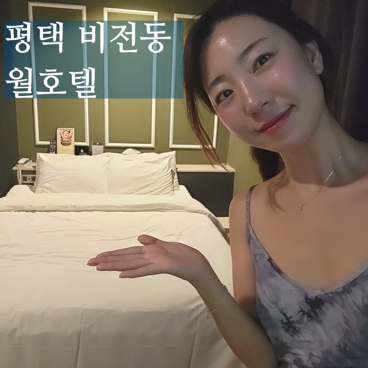  평택 모텔 월호텔 비전동 비즈니스호텔
