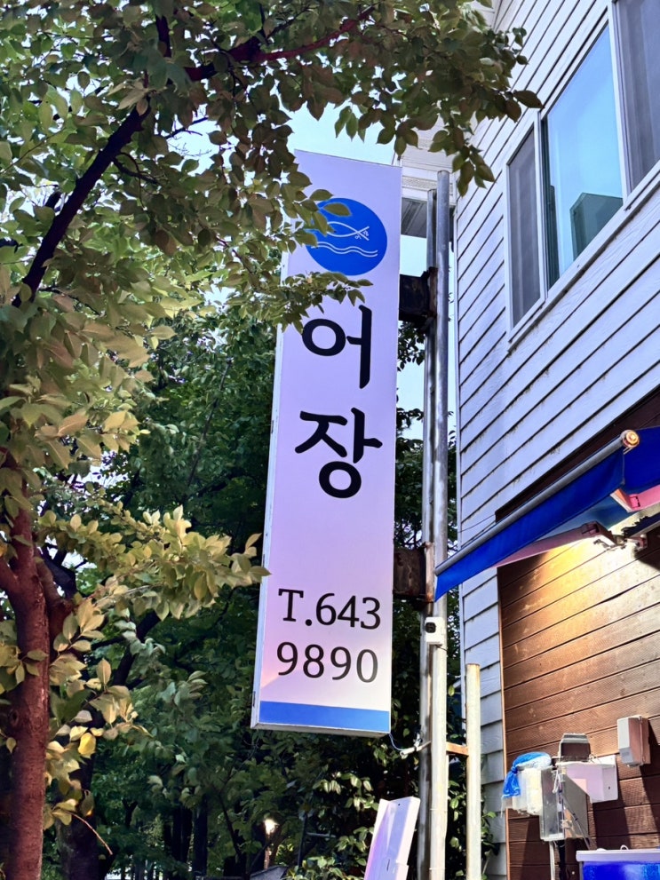  강릉 교동 맛집 회 맛집 어장