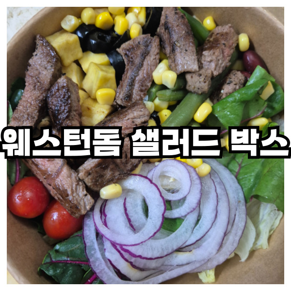  웨스턴돔 샐러드 박스 건강한 한끼