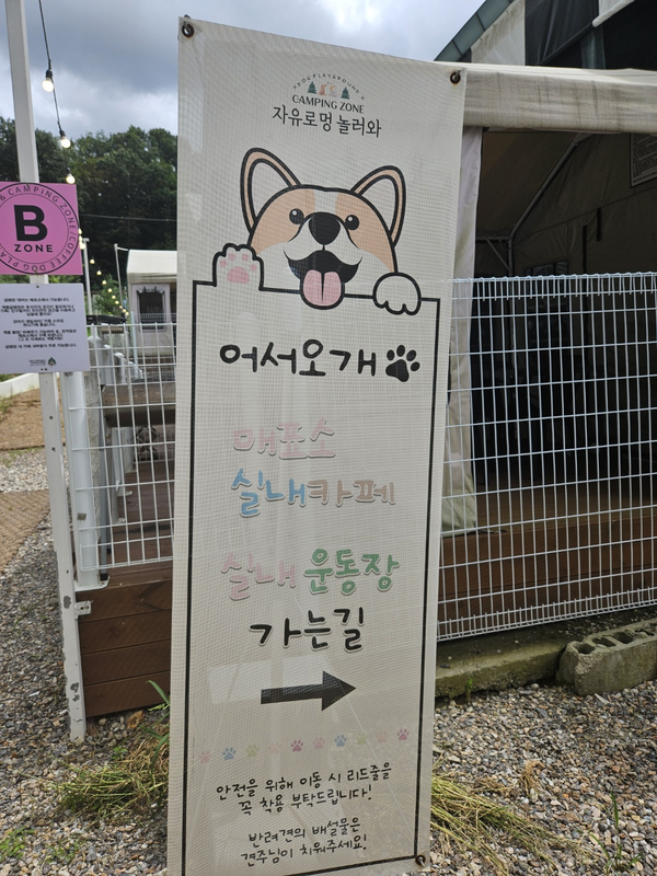  대형견과 중형견도 신나게 놀 수 있는 자유로멍놀러와