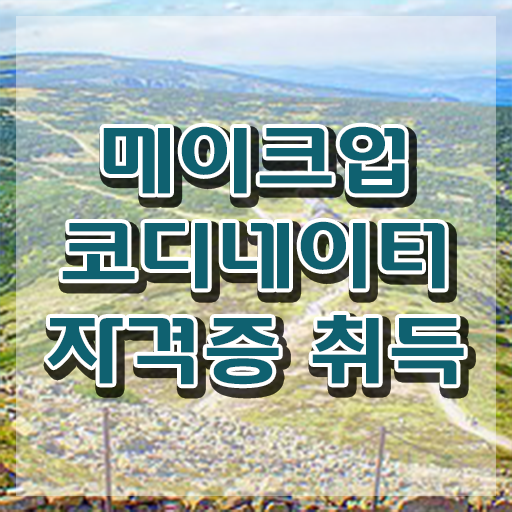 메이크업아티스트 , 메이크업코디네이터 자격증 온라인으로 쉽게 준비한 과정 핵심 공개