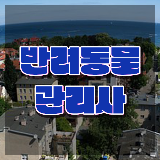  반려동물 관리사 , 반려동물관리사 자격증 합격한 전략 확인해보세요