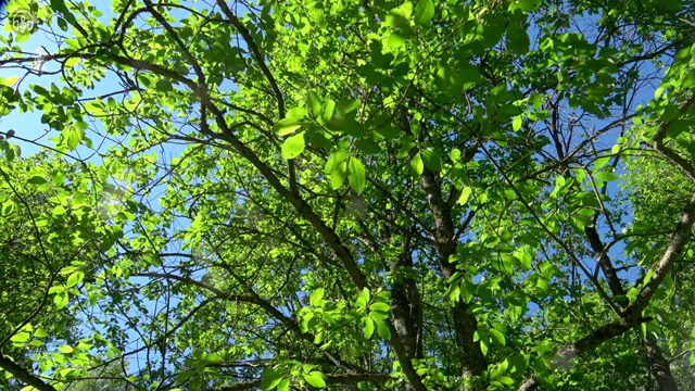  조경산업기사 학원 조경산업기사 시험응시자격 온라인 수업으로 15주 동안 준비한 과정
