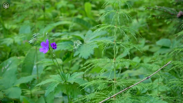  미용대학추천 , 16주 동안 미용종합면허증 발급받을 수 있었던 팁 여기서 보고가세요
