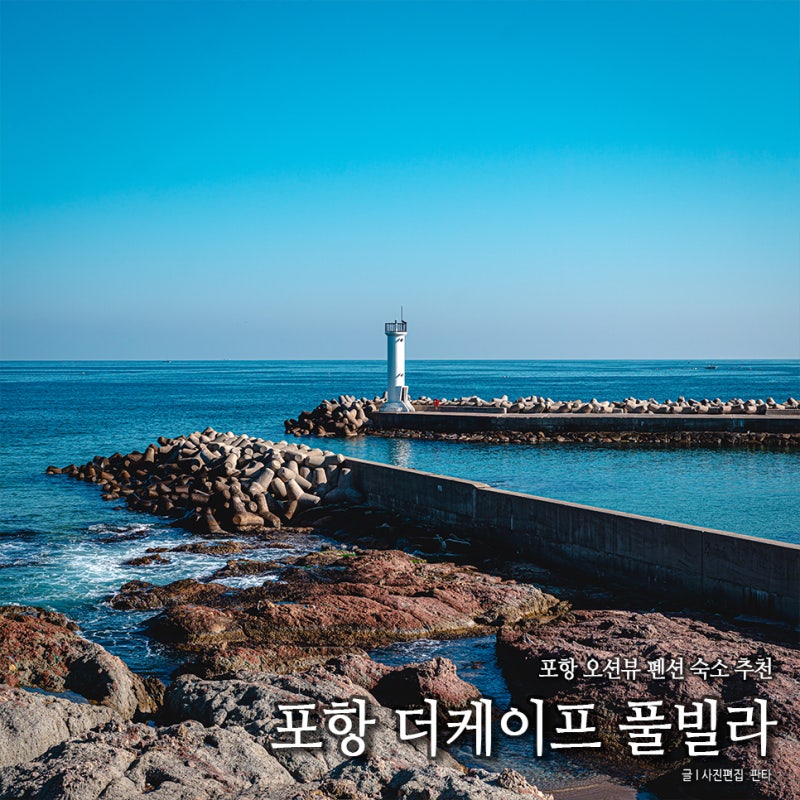 사진 3