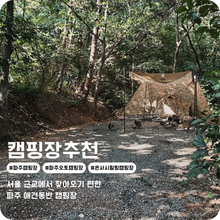  캠핑장박 하고 싶은 숲 속 뷰 은사시힐링 파주오토캠핑장