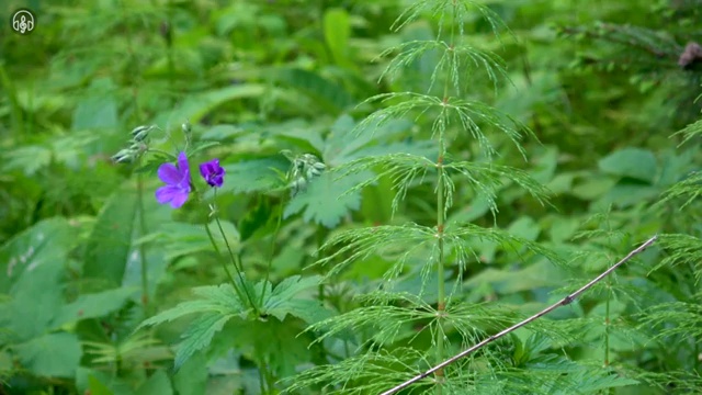  원주 사회복지사자격센터 . 사회복지사2급 고졸도 학은제로 빠르게