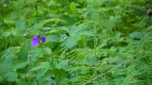  사주팔자만세력 , 경단녀도 명리심리상담사 취득 가능해요