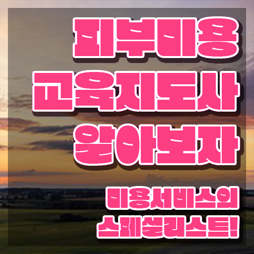  피부미용자격증 비용 , 피부미용교육지도사 자격증 한달 만에 취득한 과정 , 활용 방법