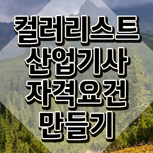  컬러리스트 산업기사 조건 컬러리스트산업기사 자격요건 인강으로 반 년만에 완료한 노하우
