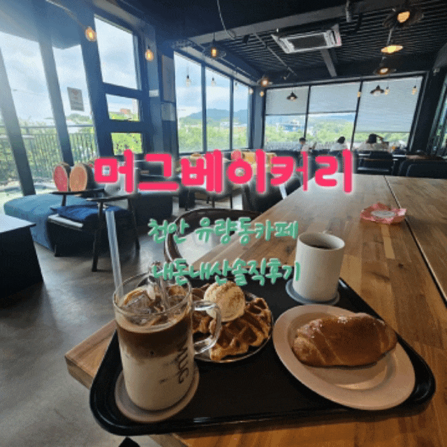  베이커리머그카페 천안유량동카페 내돈내산솔직후기