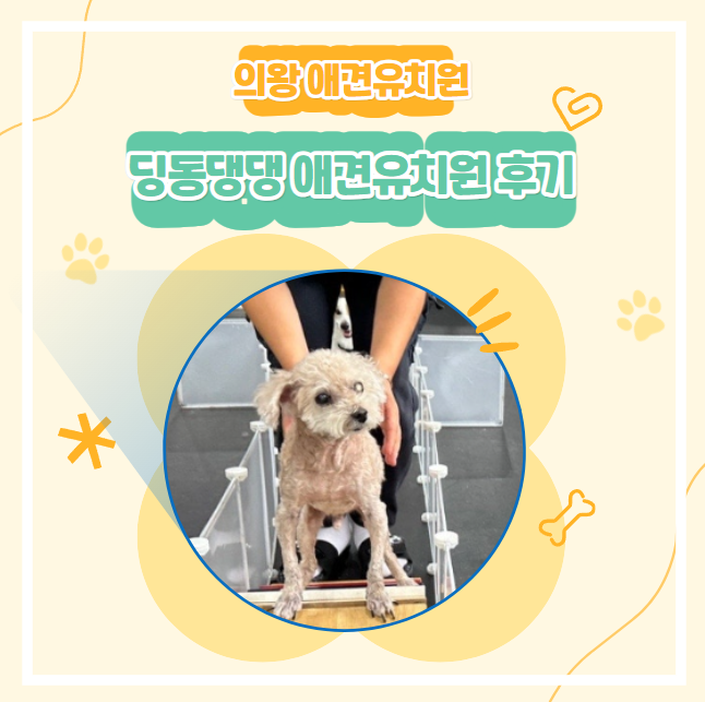 사진 4