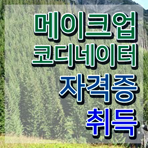  호평 메이크업학원 , 메이크업코디네이터 자격증 온라인으로 쉽게 준비한 방법 핵심 정보 정리