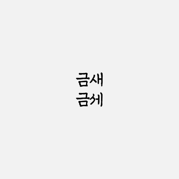  금새 금세 올바른 맞춤법과 사용 예시