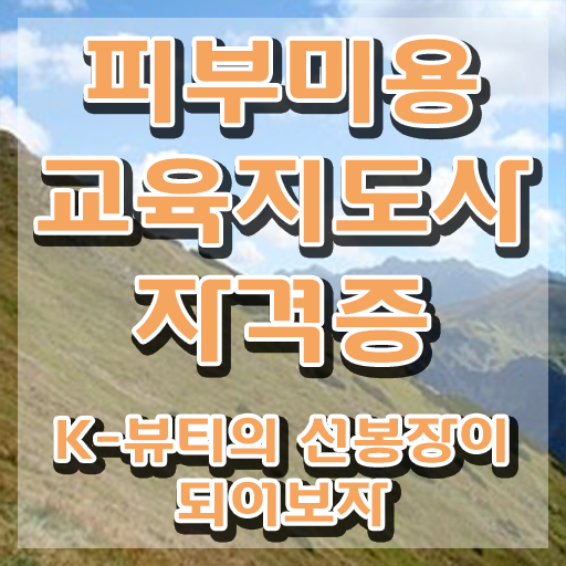 피부자격증 , 피부미용교육지도사 자격증 온라인 교육으로 취득했던 후기 , 이후 전망