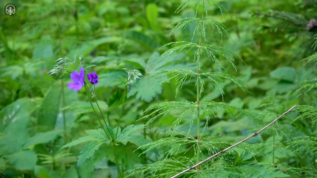  사주 공부 책 , 명리심리상담사 조건없이 일과 병행하며 편하게 준비했던 꿀팁 모음