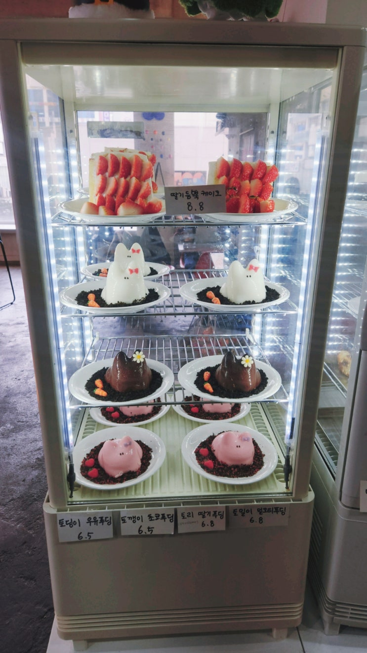  범계 핫 플! '카페 페이버릿컬러' 커피로 힐링 타임 (인스타 토끼 푸딩 맛집)