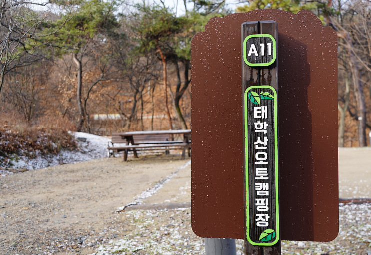  천안 오토캠핑장 태학산 자연휴양림 야영장 명당