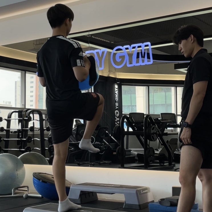  명품은 싼가요?[세종 pt, 세종운동전문가]