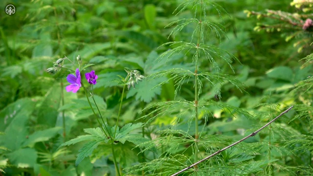  학점은행제 졸업증명서 , 학점은행제 플래너 무조건 활용해보세요. . 비용 절감 기간 단축 과정 요약해봤어요