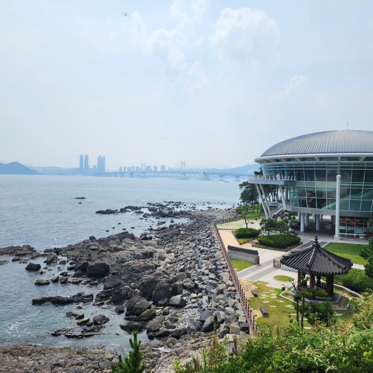  해운대 동백섬 산책 한바퀴 부산 여행 가볼만한 곳 주차 뷰 포인트
