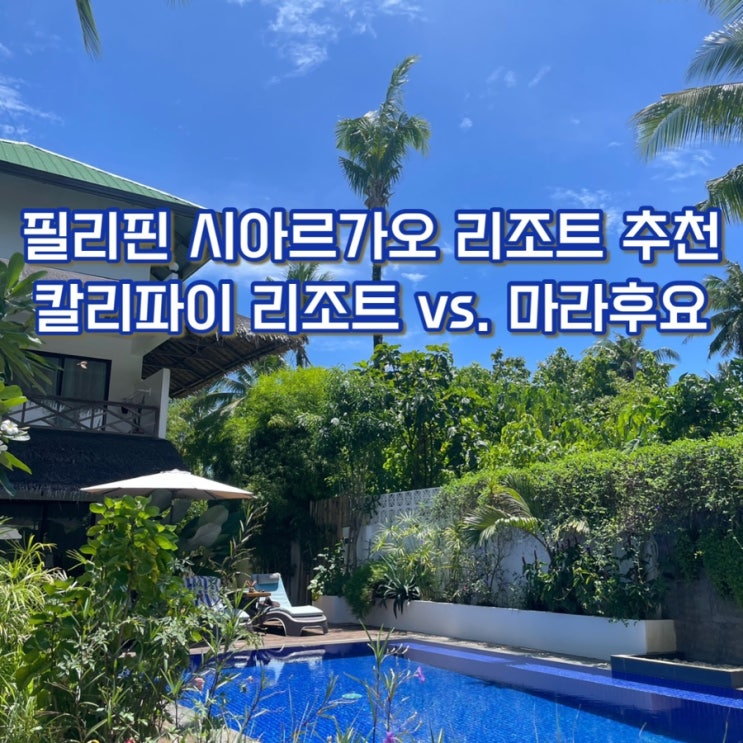  [세부 서핑유학] 시아르가오 여행 숙소 추천 (칼리파이 리조트 vs. 마라후요 시아르가오 ) 제너럴루나