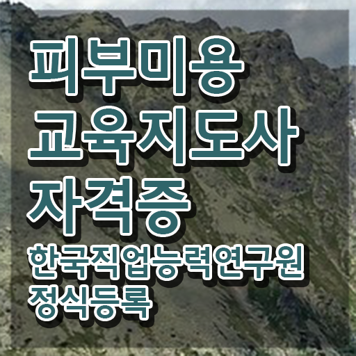  피부자격증 독학 , 피부미용교육지도사 자격증 온라인으로 합격한 팁 , 취업