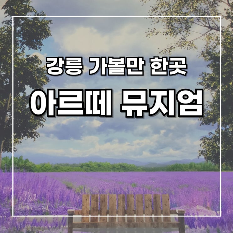  [2박 3일 강릉 여행] 4. 강릉 가볼 만한 곳 _ 아르떼 뮤지엄(미술관) 관람 후기