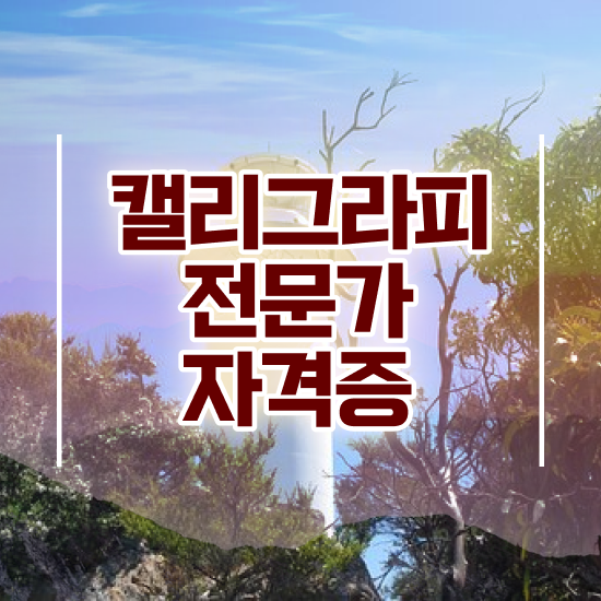  캘리그라피 명언 , 캘리그라피전문가 자격증 합격정보 살펴보기