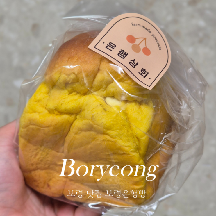  보령은행빵 대전근교카페 정촌유기농원 빵 맛집