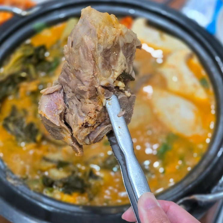  순천 조례동 현지인 맛집 순천 먹거리 소백감자탕